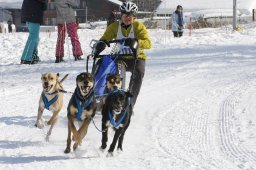 Lenk 2012 SM